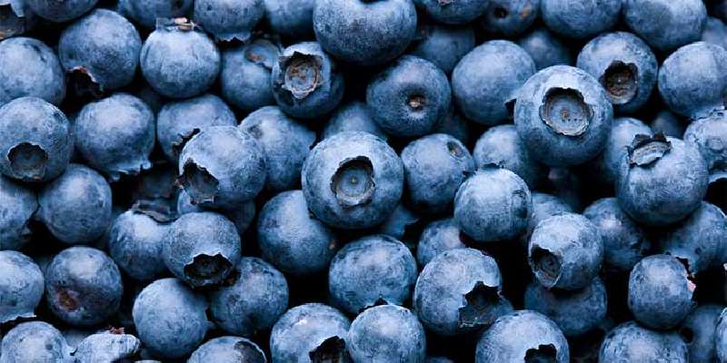 proven health benefits of blueberries